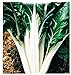 foto Semillas de acelga verde 2 de remolacha plateada - verduras - beta vulgaris - aprox. 300 semillas - las mejores semillas de plantas - flores - frutas raras - remolacha verde - idea de regalo 2024-2023