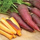photo: You can buy Cosmic Purple Carrot Seeds, 500 Heirloom Seeds Per Packet, Non GMO Seeds, Isla's Garden Seeds online, best price $5.99 ($0.01 / Count) new 2024-2023 bestseller, review