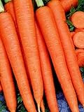 photo: You can buy David's Garden Seeds Carrot Tendersweet 7614 (Orange) 200 Non-GMO, Heirloom Seeds online, best price $3.45 new 2024-2023 bestseller, review
