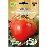 foto: comprar Germisem Orgánica Oxheart Semillas de Tomate 0.5 g (ECBIO8009) on-line, mejor precio 3,99 € nuevo 2024-2023 éxito de ventas, revisión