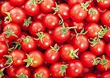 photo: You can buy 30+ Sweetie Cherry a.k.a. Sugar Sweetie Tomato Seeds, Heirloom Non-GMO, Extra Sweet, Heavy-Yielding, Indeterminate, Open-Pollinated, Delicious, from USA online, best price $2.69 ($38.16 / Ounce) new 2024-2023 bestseller, review