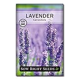 photo: You can buy Sow Right Seeds - Lavender Seeds for Planting; Non-GMO Heirloom Seeds with Instructions to Plant and Grow a Beautiful Indoor or Outdoor herb Garden; Great Gardening Gift online, best price $4.99 new 2024-2023 bestseller, review