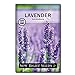 photo Sow Right Seeds - Lavender Seeds for Planting; Non-GMO Heirloom Seeds with Instructions to Plant and Grow a Beautiful Indoor or Outdoor herb Garden; Great Gardening Gift 2024-2023