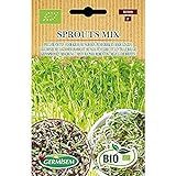 foto: comprar Germisem Orgánica Sprouts Mix Semillas 20 g (ECBIO1900) on-line, mejor precio 3,99 € nuevo 2024-2023 éxito de ventas, revisión