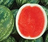 photo: You can buy David's Garden Seeds Fruit Watermelon (Seedless) Chunky (Red) 25 Non-GMO, Hybrid Seeds online, best price $9.95 new 2024-2023 bestseller, review