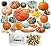 photo HARLEY SEEDS - Mixed!!! 50+ Pumpkin and Winter Squash Mix Seeds Non-GMO 25 Varieties Delicious Grown in USA. Rare, Super Profilic and Delicious! 2024-2023