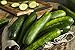 photo Sweeter Yet Hybrid Cucumber Seeds - Non-GMO - 10 Seeds 2024-2023