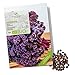 foto BIO Grünkohl Samen (Redbor) - Grünkohl Saatgut aus biologischem Anbau ideal für die Anzucht im Garten, Balkon oder Terrasse 2024-2023