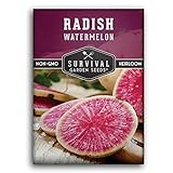 photo: You can buy Survival Garden Seeds - Watermelon Radish Seed for Planting - Packet with Instructions to Plant and Grow Unique Asian Vegetables in Your Home Vegetable Garden - Non-GMO Heirloom Variety online, best price $4.99 new 2024-2023 bestseller, review