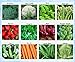 photo Premium Winter Vegetable Seeds Collection Organic Non-GMO Heirloom Seeds 12 Varieties: Radish, Pea, Broccoli, Beet, Carrot, Cauliflower, Green Bean, Kale, Arugula, Cabbage, Asparagus, Brussel Sprout 2024-2023