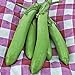 photo Thai Long Green Eggplant Seeds (25+ Seeds) 2024-2023