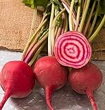 photo: You can buy David's Garden Seeds Beet Chioggia Guardsmark 3287 (Multi) 200 Non-GMO, Heirloom Seeds online, best price $3.95 new 2024-2023 bestseller, review