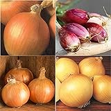 photo: You can buy David's Garden Seeds Collection Set Onion Long-Day 9332 (Multi) 4 Varieties 800 Non-GMO, Open Pollinated Seeds online, best price $16.95 ($4.24 / Count) new 2024-2023 bestseller, review