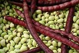 photo: You can buy Purple Hull Pea Seeds for Planting - 250 Seeds online, best price $13.97 ($0.06 / Count) new 2024-2023 bestseller, review