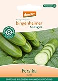 foto: jetzt Bingenheimer Saatgut - Freilandgurke Persika - Gemüse Saatgut / Samen Online, bester Preis 4,66 € neu 2024-2023 Bestseller, Rezension