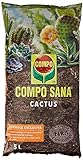 foto: comprar Compo Sana Substrato para Cactus y suculentas con 8 semanas de abono para Todas Las Especies de Cactus y suculentas, Substrato de Cultivo, 5 L, 37x23x5.5 cm, 1122106011 on-line, mejor precio 3,99 € nuevo 2024-2023 éxito de ventas, revisión