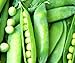 photo 50 Lincoln Pea Seeds | Non-GMO | Fresh Garden Seeds 2024-2023