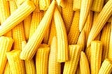 photo: You can buy Japanese Baby Corn Seeds for Planting - 20 Seeds - Great on Salads or as Garnish online, best price $8.98 ($0.45 / Count) new 2024-2023 bestseller, review