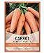 photo Carrot Seeds for Planting - Scarlet Nantes - Daucus Carota - is A Great Heirloom, Non-GMO Vegetable Variety- 2 Grams Seeds Great for Outdoor Spring, Winter and Fall Gardening by Gardeners Basics 2024-2023