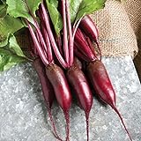 photo: You can buy David's Garden Seeds Beet Cylindra 4343 (Red) 200 Non-GMO, Hybrid Seeds online, best price $3.95 new 2024-2023 bestseller, review