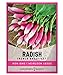 photo Radish Seeds for Planting - French Breakfast Variety Heirloom, Non-GMO Vegetable Seed - 2 Grams of Seeds Great for Outdoor Spring, Winter and Fall Gardening by Gardeners Basics 2024-2023