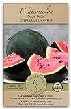 photo: You can buy Gaea's Blessing Seeds - Sugar Baby Watermelon Seeds (3.0g) Non-GMO Seeds with Easy to Follow Planting Instructions - Heirloom 94% Germination Rate online, best price $4.99 new 2024-2023 bestseller, review