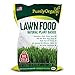 photo 25 lb. Lawn Food Fertilizer 2024-2023