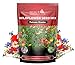 photo 170,000 Wildflower Seeds, 1/4 lb, 35 Varieties of Flower Seeds, Mix of Annual and Perennial Seeds for Planting, Attract Butterflies and Hummingbirds, Non-GMO… 2024-2023