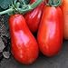 photo Organic San Marzano Short Vine Tomato ~25 Seeds - Organic, Heirloom, Open Pollinated, Non-GMO, Farm & Vegetable Gardening Seeds 2024-2023