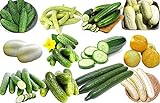photo: You can buy 100+ Cucumber Mix Seeds 12 Varieties Non-GMO Delicious and Crispy, Grown in USA. Rare and Super Prolific online, best price $6.25 ($35.43 / Ounce) new 2024-2023 bestseller, review
