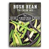 photo: You can buy Survival Garden Seeds - Tri-Color Bean Seed for Planting - Packet with Instructions to Plant and Grow Yellow, Purple, and Green Bush Beans in Your Home Vegetable Garden - Non-GMO Heirloom Variety online, best price $4.99 new 2024-2023 bestseller, review