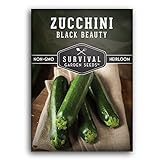 photo: You can buy Survival Garden Seeds - Black Beauty Zucchini Seed for Planting - Pack with Instructions to Plant and Grow Dark Green Zucchini in Your Home Vegetable Garden - Non-GMO Heirloom Variety - 1 Pack online, best price $4.99 new 2024-2023 bestseller, review