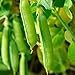 photo Sugar Snap Pea Garden Seeds - 5 Lbs - Non-GMO, Heirloom Vegetable Gardening Seed 2024-2023