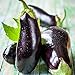 photo David's Garden Seeds Eggplant Black Beauty 2477 (Black) 50 Non-GMO, Heirloom Seeds 2024-2023