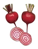photo: You can buy Burpee Chioggia Beet Seeds 200 seeds online, best price $5.65 ($0.03 / Count) new 2024-2023 bestseller, review