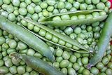 photo: You can buy Willet's Wonder English Pea - Very Prolific and Tasty! Green Sweet Peas!!!!Mmmmm(100 - Seeds) online, best price $7.69 ($0.08 / Count) new 2024-2023 bestseller, review