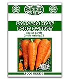 photo: You can buy Danvers Half Long Carrot Seeds - 1000 Seeds Non-GMO online, best price $1.59 new 2024-2023 bestseller, review