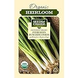 photo: You can buy Seeds Of Change 8225 Evergreen Bunching Onion, Green online, best price $8.99 new 2024-2023 bestseller, review