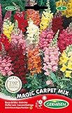 photo: acheter Germisem Magic Carpet Mix Graines de Snapdragon 0.8 g EC1503 Multicolore en ligne, meilleur prix 2,70 € nouveau 2024-2023 best-seller, examen