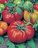 photo: You can buy Tomato, Beefsteak, Heirloom, 25+ Seeds, Great Sliced Tomato, Delicious online, best price $1.99 ($0.08 / Count) new 2024-2023 bestseller, review