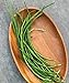 photo Burpee Yardlong Asparagus Pole Bean Seeds 1 ounces of seed 2024-2023