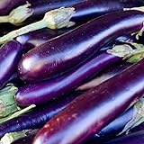 photo: You can buy David's Garden Seeds Eggplant Long Purple 1131 (Purple) 50 Non-GMO, Heirloom Seeds online, best price $4.45 new 2024-2023 bestseller, review