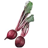 photo: You can buy Burpee Detroit Supreme Beet Seeds 350 seeds online, best price $6.16 new 2024-2023 bestseller, review
