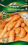 foto: jetzt Quedlinburger 84001 Kartoffel Bamberger Hörnchen (10 Stück) (gelb, festkochend, mittelfrüh/mittelspät) (Pflanzkartoffeln) Online, bester Preis 7,99 € neu 2024-2023 Bestseller, Rezension