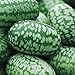 photo Cucamelon Seeds 35 Seed Pack Mexican Sour Gherkin, Mouse Melon 35 Seeds 2024-2023