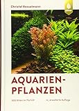 foto: jetzt Aquarienpflanzen: 500 Arten im Porträt Online, bester Preis 69,95 € neu 2024-2023 Bestseller, Rezension