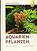foto Aquarienpflanzen: 500 Arten im Porträt 2024-2023