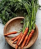 photo: You can buy Burpee Scarlet Nantes Carrot Seeds 3000 seeds online, best price $7.40 new 2024-2023 bestseller, review