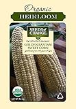 photo: You can buy Seeds Of Change 6079 Golden Bantam Corn online, best price $8.99 new 2024-2023 bestseller, review