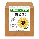foto: comprar Garden Pocket - Kit Cultivo Girasol on-line, mejor precio 8,90 € nuevo 2024-2023 éxito de ventas, revisión
